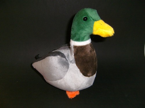 Plüschtier ente cm - ente, 20