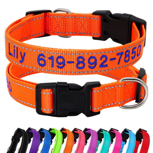 Hundehalsband bestickt mit - hundehalsband,