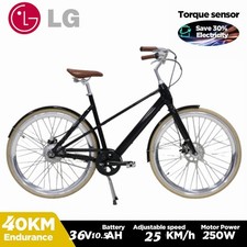 27.5 Zoll eBike 378WH Retro