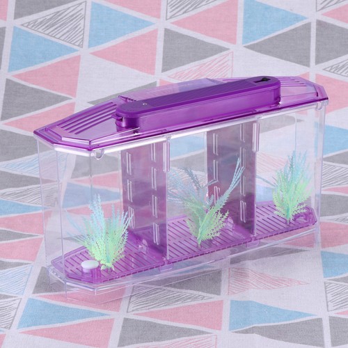 Kleines aquarium - kleines,
