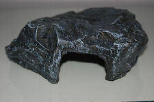 Vivarium große graue