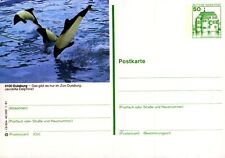 (836) Bildpostkarte - Duisburg, Zoo - postfrisch