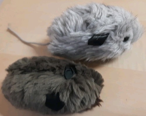 Kleine meerschweinchen - 2,