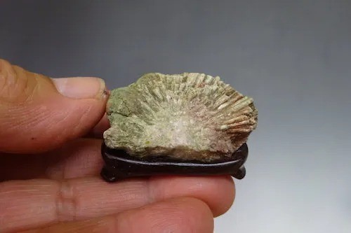 Japan shimonita kikka seki - shimonita, kikka-seki