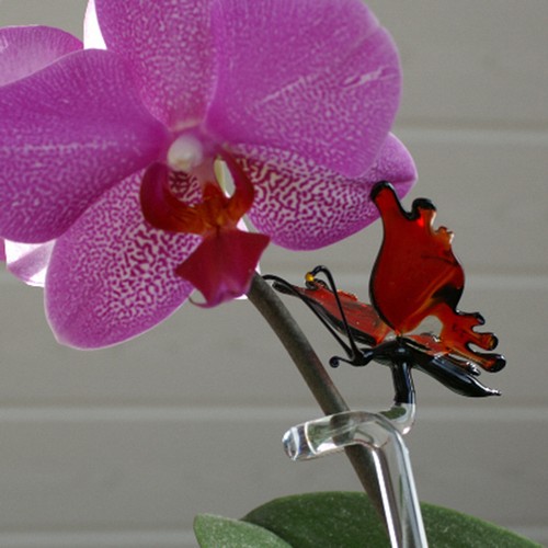 Orchideenstab blumenhalter - orchideenstab, m