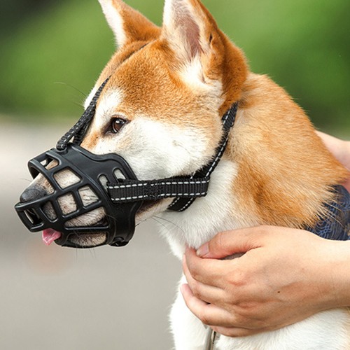 Maulschlaufe hund beisskorb - maulschlaufe,