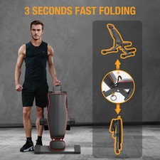 Hantelbank Trainingsbank