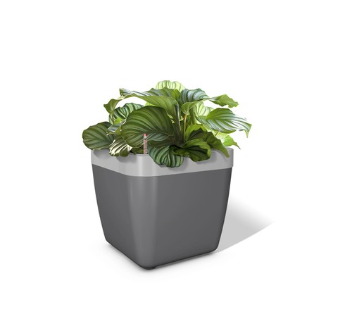 Emsa mybox blumenkasten - emsa,