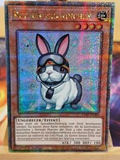 Rettungskaninchen  RA02-DE008