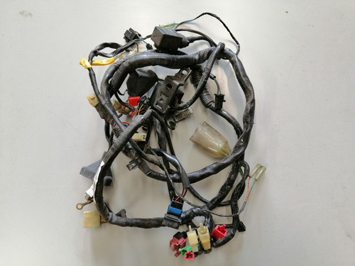 Honda cbr 600 - 600, kabelbaum