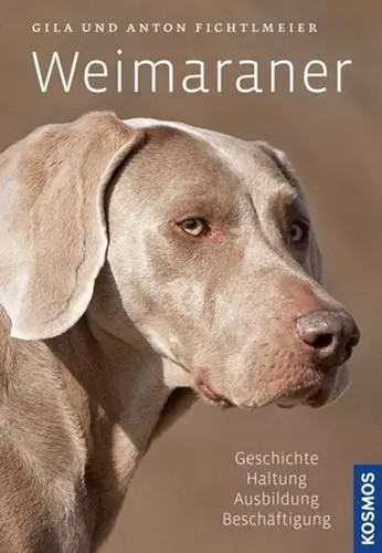 Weimaraner gila fichtlmeier - |,