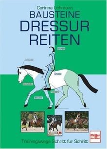 Bausteine dressurreiten - bausteine,