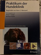 Praktikum der Hundeklinik