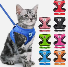 Katze Geschirr Weste Walking