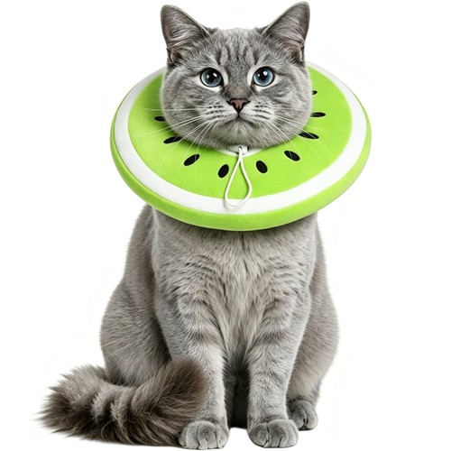 Halskrause katze größen - größen, s