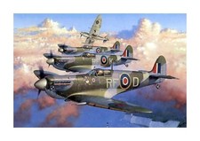 Spitfire World War II Tally Ho
