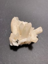 Danburit, Charcas Mine, Mexiko