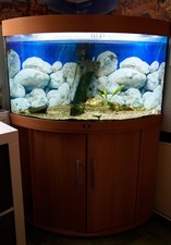 Juwel Eck-Aquarium 190 L mit Unterschrank und Zubehör