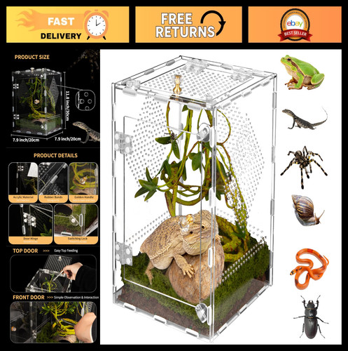 Clear acrylic reptile - acrylic,