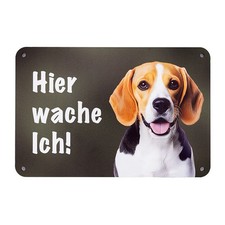 Beagle Hund "HIER WACHE ICH!"