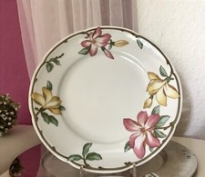 Vintage porzellan teller - porzellan,