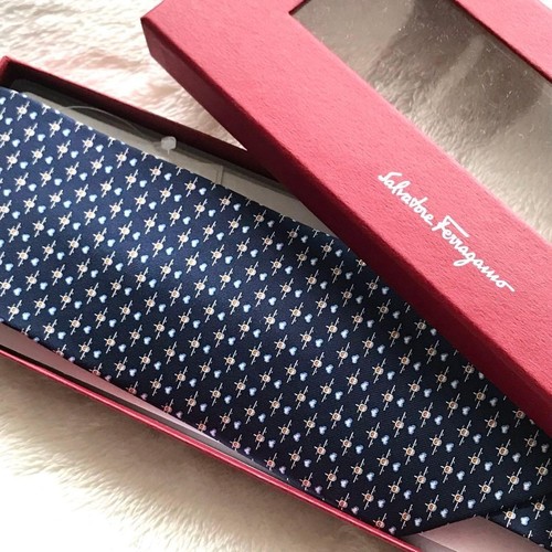 Salvatore ferragamo krawatte - ferragamo,
