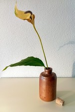 Steinzeug Flasche / Vase mit Stöpsel, 0,25 l, H 14,5 cm, salzglasierte Keramik 