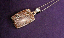 Anhänger Versteinerter