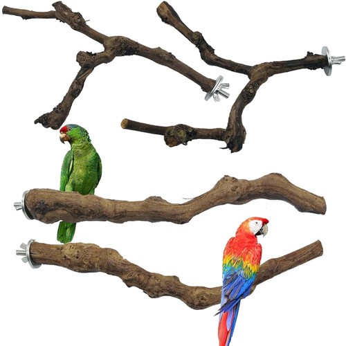 Vogel sitzstangen holz - vogel,