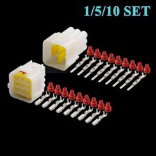 9 Polig Furukawa Auto