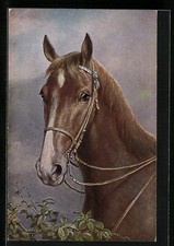 Künstler-AK Carl Reichert: Anmutiger Fuchs mit weißer Blesse 