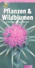 Pflanzen und Wildblumen erkennen  bestimmen: Wegwei... | Buch | Zustand wie neu