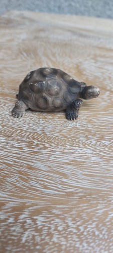 Schleich schildkröte - schleich,