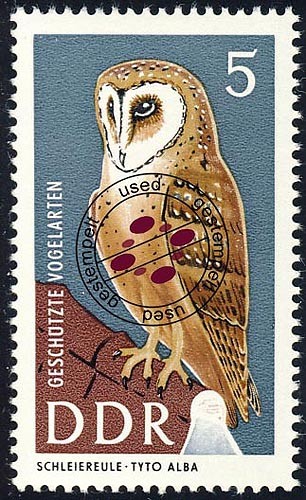 1272 geschützte vögel - geschützte,