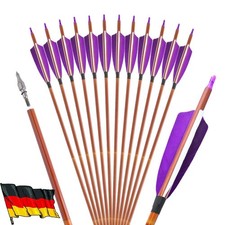 12X SP500 Carbonpfeile 4"