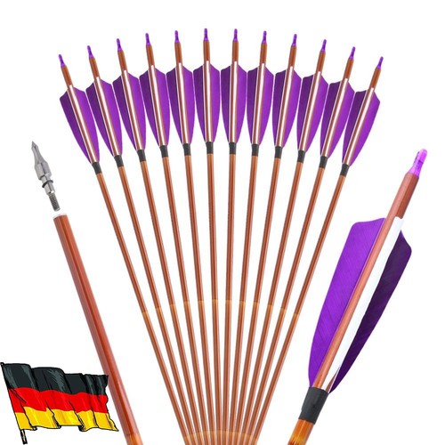 12x sp500 carbonpfeile - 12x,