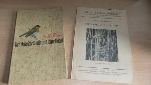 Der deutsche wald und - der,