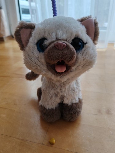 Furreal friends katze - friends,
