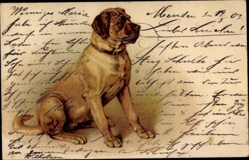 Litho hundeportrait sitzender - litho, hundeportrait,