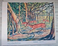 VOSS Margarine Kunstbilder Serie 2 | 31 Stück