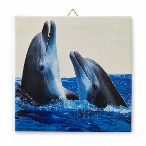 Deko bild delfine - bild, wandbild