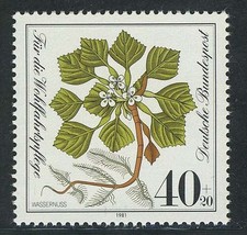 1108 Wohlfahrt Wassernuß