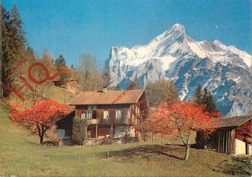 Ansichtskarte__Grindelwald