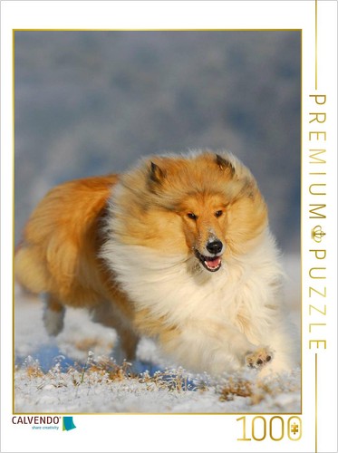 Calvendo puzzle collie - collie,