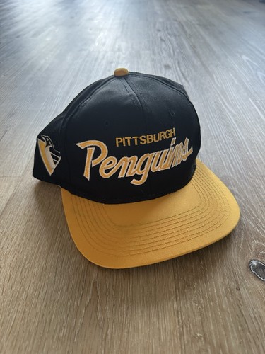 Pittsburgh penguins nhl - pittsburgh,