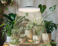 Bioledex goleaf led - goleaf,