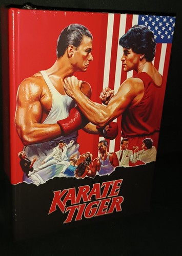 Karate tiger year of the - tiger,