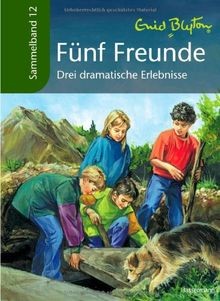 Fünf freunde drei - fünf,