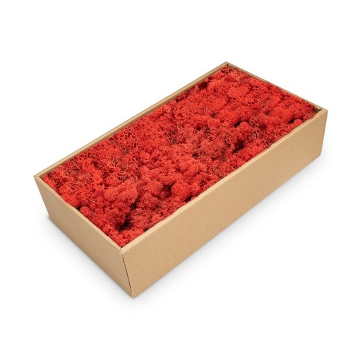 Nadeco islandmoos rot - nadeco,