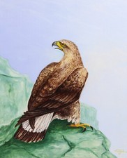 Steinadler surreal comic - steinadler,
